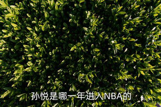 孫悅在nba哪個(gè)球隊(duì),查aba孫悅網(wǎng)上找找孫悅的下賽季去向