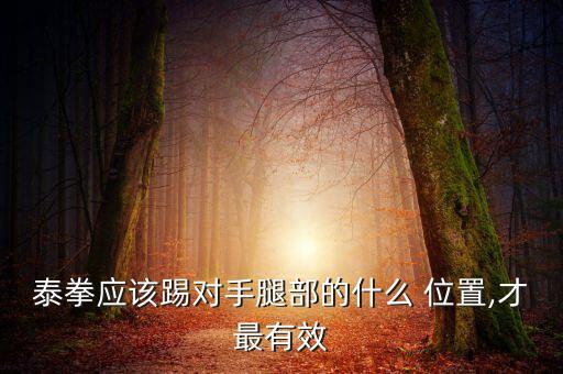 泰拳應(yīng)該踢對手腿部的什么 位置,才最有效