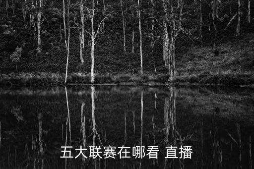 五大聯(lián)賽在哪看 直播