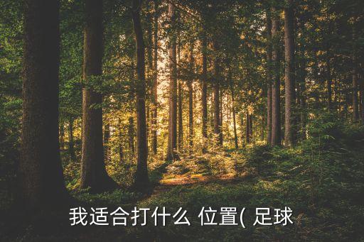 我適合打什么 位置( 足球