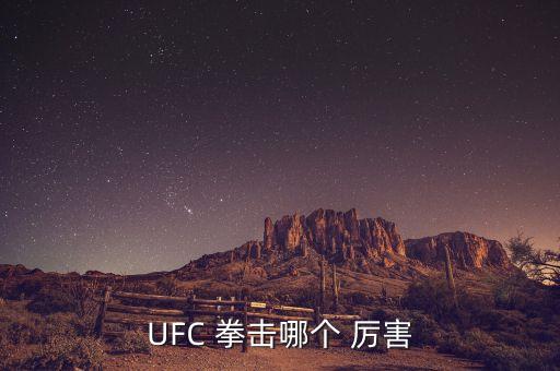 UFC 拳擊哪個(gè) 厲害