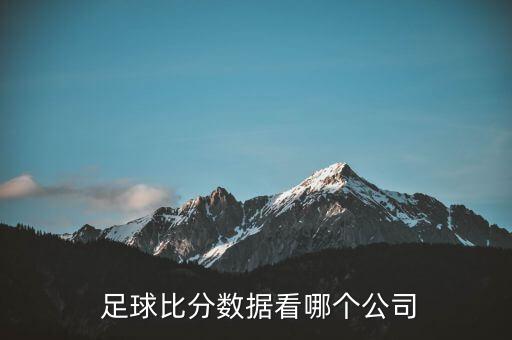  足球比分?jǐn)?shù)據(jù)看哪個公司