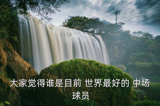 世界最優(yōu)秀的中場(chǎng)是哪個(gè)球員,足壇消息:齊祖被稱為藝術(shù)大師