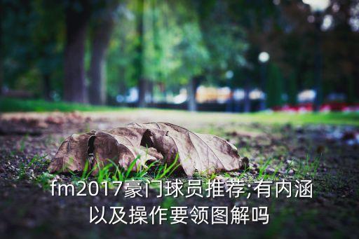  fm2017豪門球員推薦;有內(nèi)涵以及操作要領圖解嗎