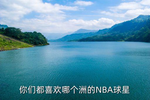 外國人喜歡哪個nba球,我喜歡76人因為他在場上從不放棄