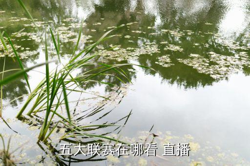 五大聯(lián)賽在哪看 直播