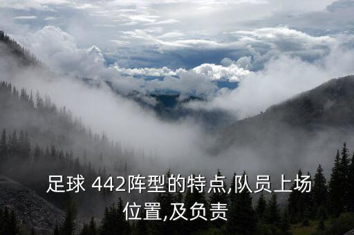  足球 442陣型的特點(diǎn),隊(duì)員上場(chǎng)位置,及負(fù)責(zé)