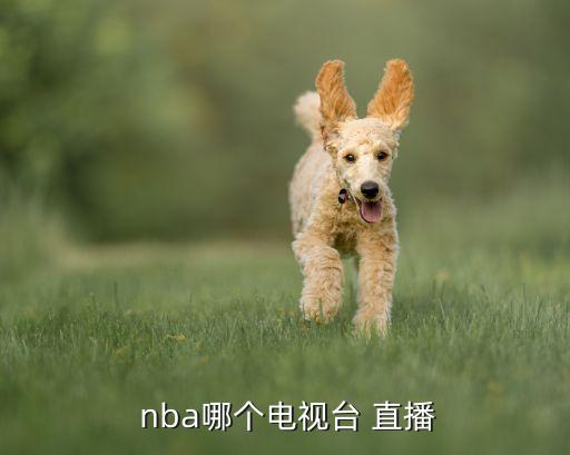 哪個(gè)地方臺(tái)直播nba,一文看懂nba直播首播