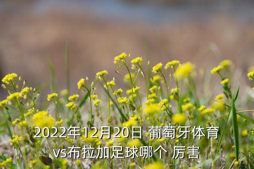 2022年12月20日 葡萄牙體育vs布拉加足球哪個 厲害