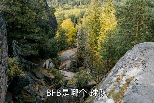 BFB是哪個 球隊