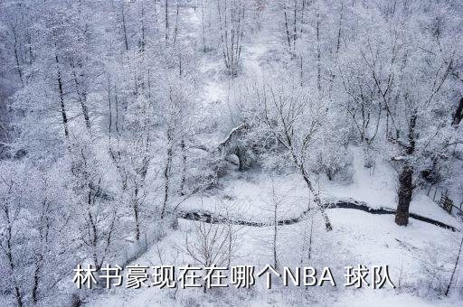 現(xiàn)在林書豪在哪個球隊,林書豪nba生涯首進nba