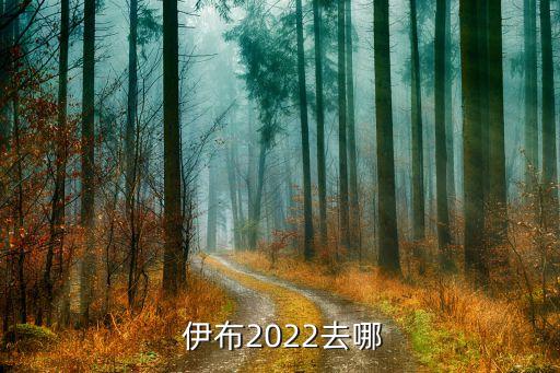  伊布2022去哪