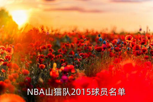 NBA山貓隊2015球員名單