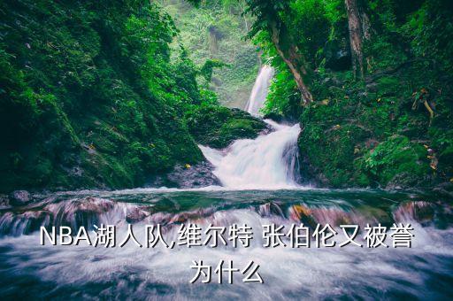 張伯倫在哪個(gè)隊(duì)冠軍,nba:wilt張伯倫永遠(yuǎn)的籃球皇帝