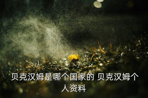 貝克漢姆哪個(gè)國(guó)家隊(duì),大衛(wèi)貝克漢姆轉(zhuǎn)會(huì)皇馬