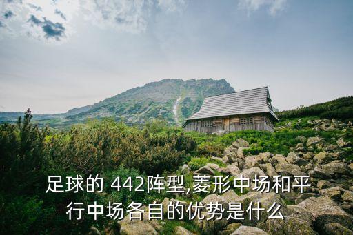 足球陣營(yíng)442哪個(gè)球隊(duì),442陣型四后衛(wèi)五中場(chǎng)六前鋒