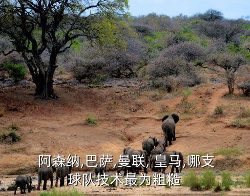  阿森納,巴薩,曼聯(lián), 皇馬,哪支球隊技術最為粗糙