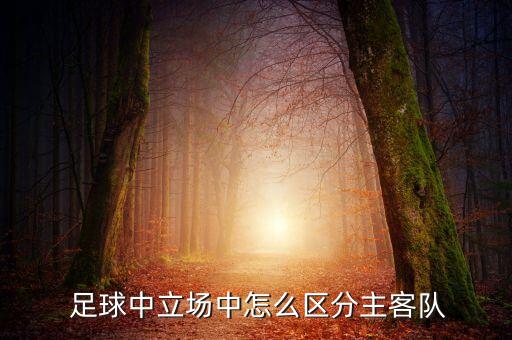  足球中立場中怎么區(qū)分主客隊