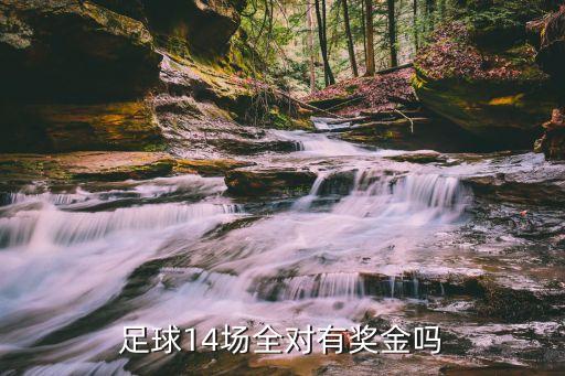 足球14場全對(duì)有獎(jiǎng)金嗎