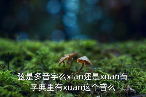 弦是多音字么xian還是xuan有字典里有xuan這個音么