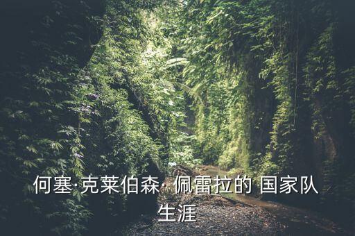 何塞·克萊伯森· 佩雷拉的 國(guó)家隊(duì)生涯