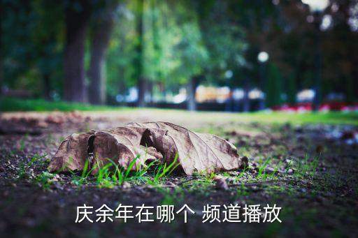 慶余年在哪個(gè) 頻道播放