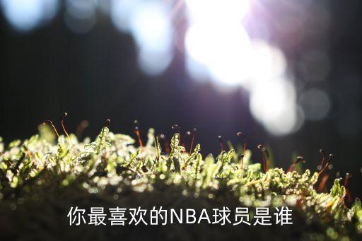 你們喜歡nba哪個(gè)球星,最喜歡科比73歲全明星球員賽季報(bào)銷