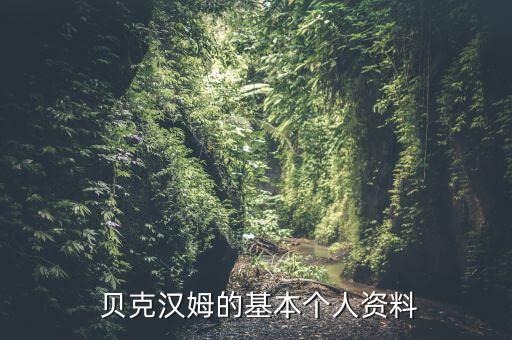 貝克漢母是哪個(gè)國家的,貝克火腿大衛(wèi)約翰夫·約瑟夫是英國人