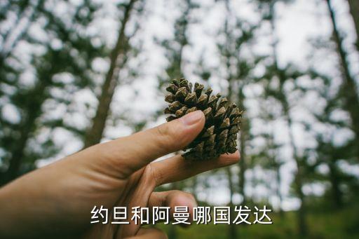  約旦和阿曼哪國發(fā)達(dá)