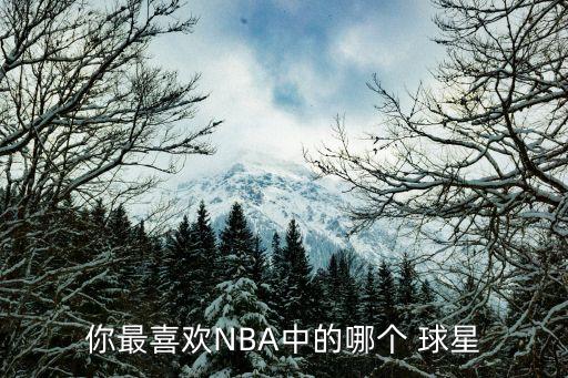 你最喜歡NBA中的哪個(gè) 球星