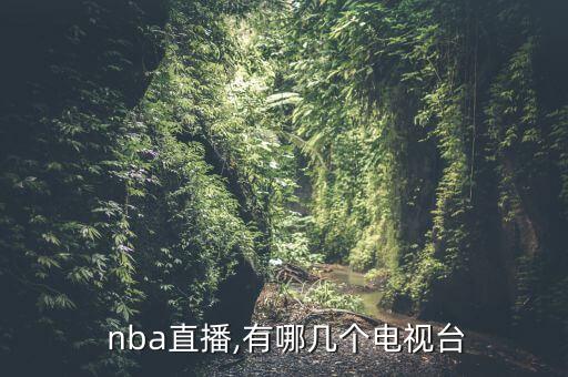  nba直播,有哪幾個電視臺