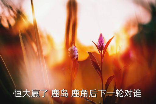 鹿島鹿角和上海上港哪個(gè)隊(duì)贏,我國(guó)足球聯(lián)賽:上港大勝淡濱尼斯