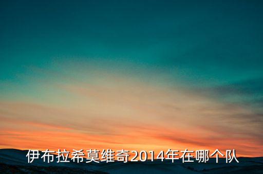  伊布拉希莫維奇2014年在哪個(gè)隊(duì)