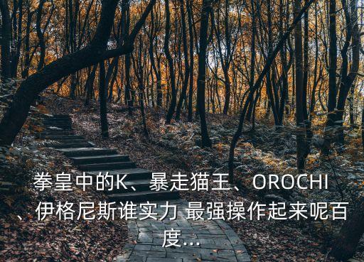 拳皇中的K、暴走貓王、OROCHI、伊格尼斯誰實力 最強操作起來呢百度...