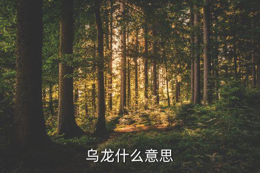 千里甲聯(lián)賽哪個國家的,烏龍來自粵語和粵語名犬的悲哀