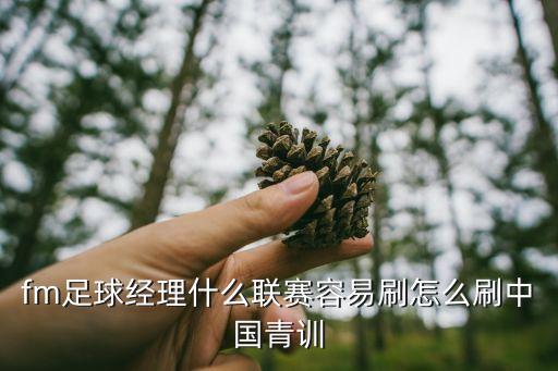 fm足球經(jīng)理什么聯(lián)賽容易刷怎么刷中國青訓(xùn)