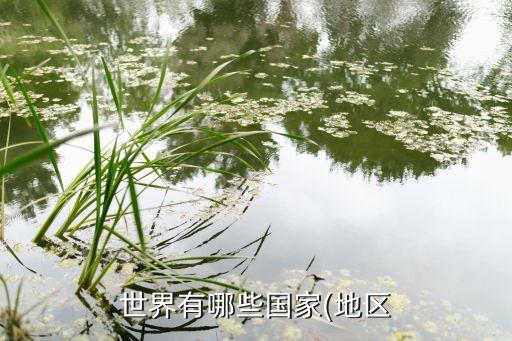 黑山和丹麥哪個(gè)厲害,波斯尼亞和黑塞哥維納分裂東德完全融合