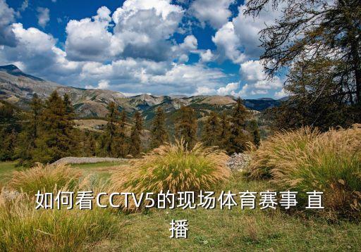 如何看CCTV5的現(xiàn)場體育賽事 直播