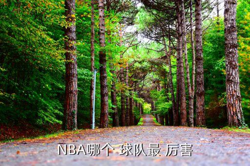 NBA哪個(gè) 球隊(duì)最 厲害