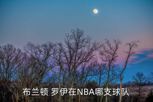 羅伊現(xiàn)在在哪個隊(duì),nba球員羅伊希伯特生涯回顧