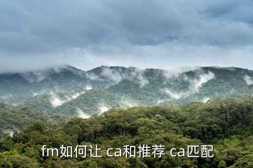 fm ca和評分哪個重要,fm如何搭配ca和推薦ca