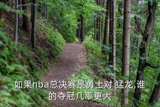 如果nba總決賽是勇士對 猛龍,誰的奪冠幾率更大