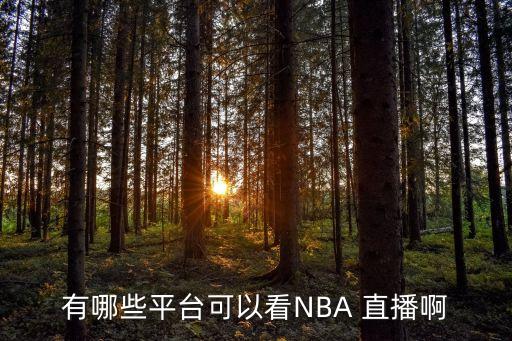 有哪些平臺可以看NBA 直播啊