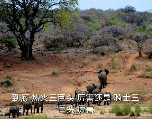 到底 熱火三巨頭 厲害還是 騎士三巨頭 厲害