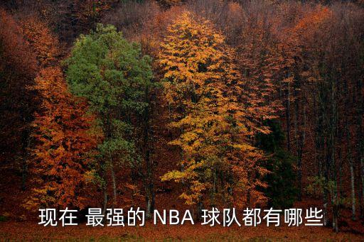 NBA哪個(gè)球隊(duì)?wèi)?zhàn)術(shù)最強(qiáng),nba全球最強(qiáng)球隊(duì)湖人東部第一