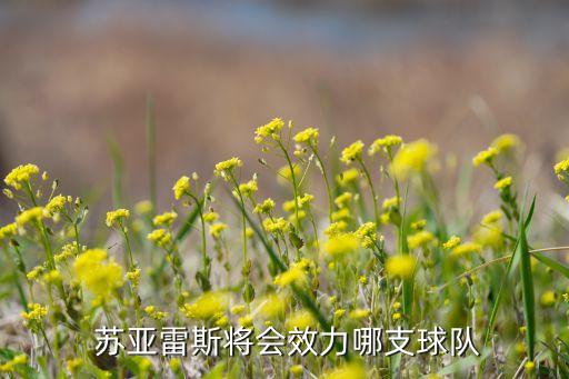 蘇亞雷斯去哪個(gè)隊(duì)啦,蘇亞雷斯轉(zhuǎn)會(huì)馬競(jìng)?cè)〉猛黄? /></a><a href=