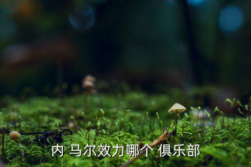 內(nèi)馬爾哪個(gè)俱樂部,馬爾大席·桑托斯簡(jiǎn)稱nei馬爾