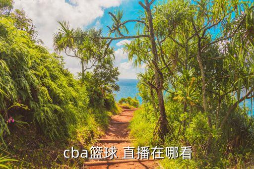 哪個軟件直播cba直播,cba比賽直播