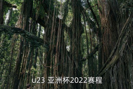  u23 亞洲杯2022賽程