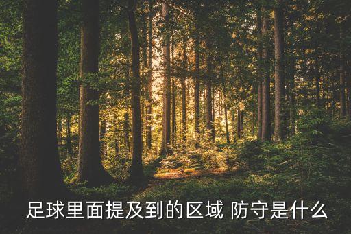  足球里面提及到的區(qū)域 防守是什么